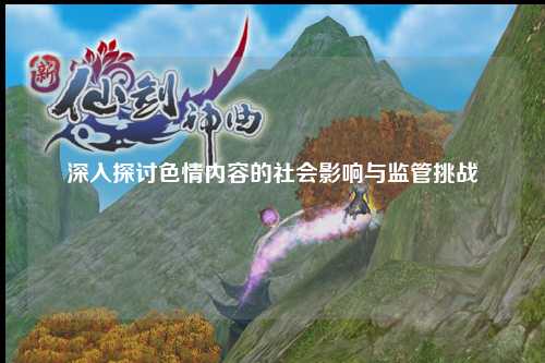 深入探讨色情内容的社会影响与监管挑战